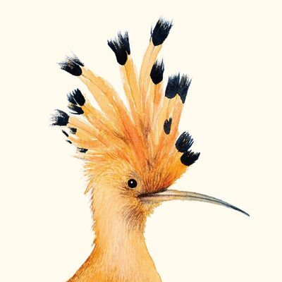 Hoopoe Hélène Monfort