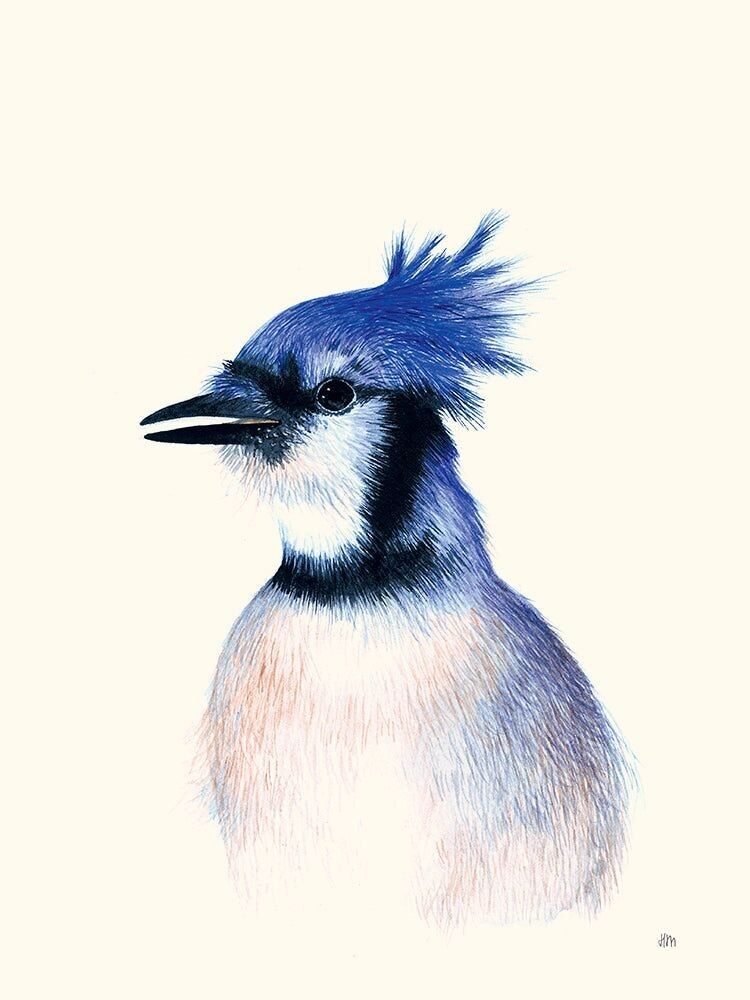 Blue Jays Poster Helene Monfort