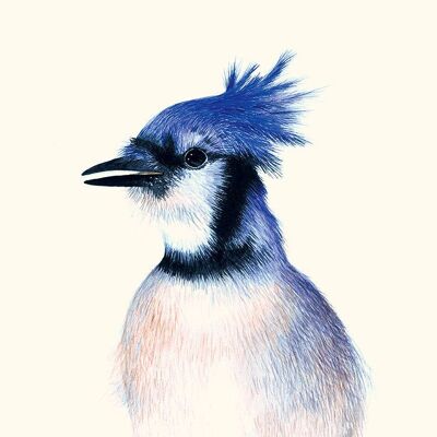 Blue Jay Hélène Monfort