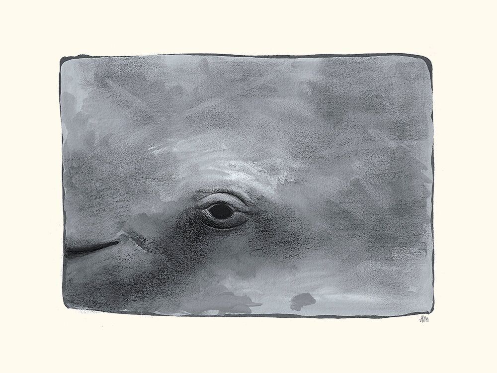 Whale Poster Helene Montfort