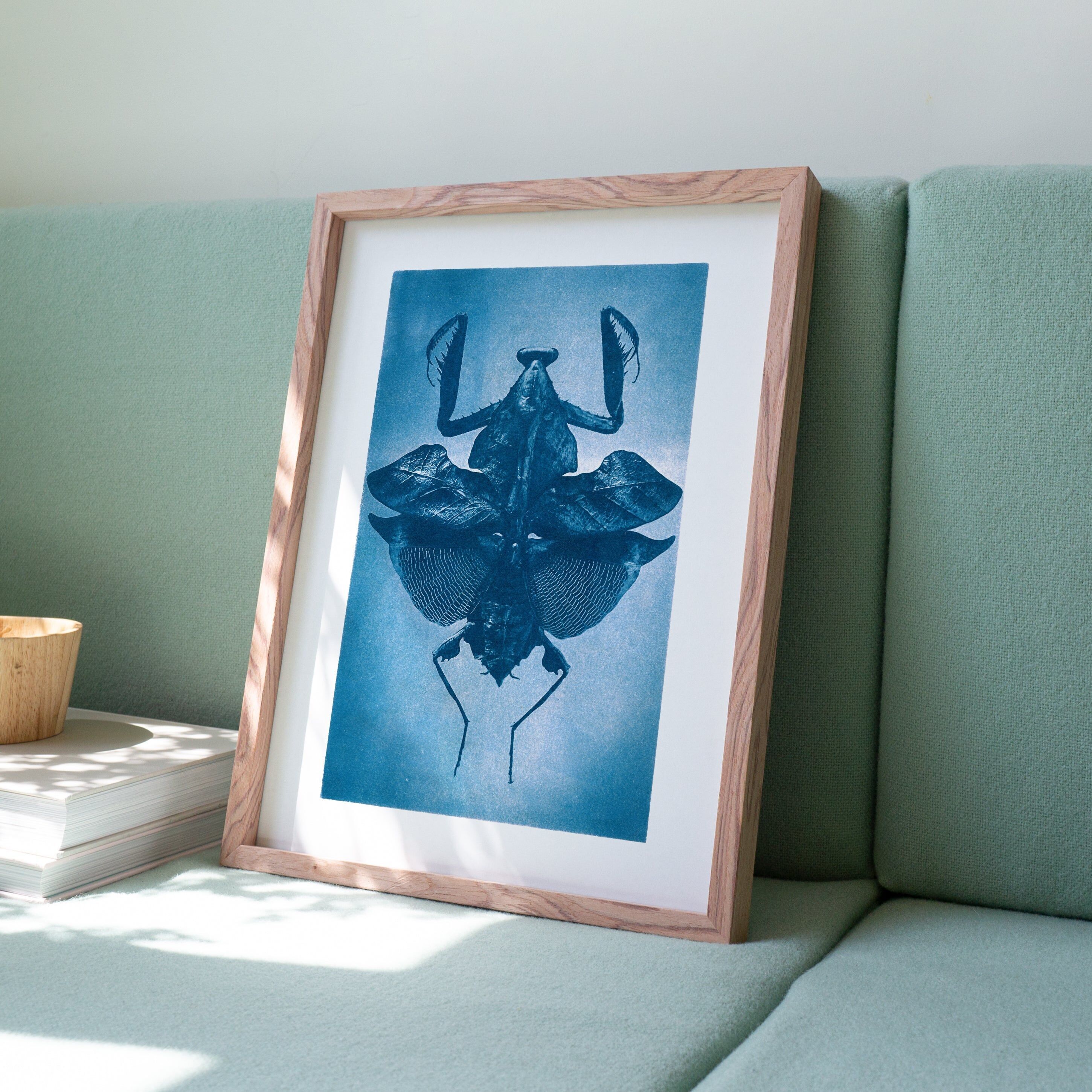 Poster Mantide Religiosa LPB