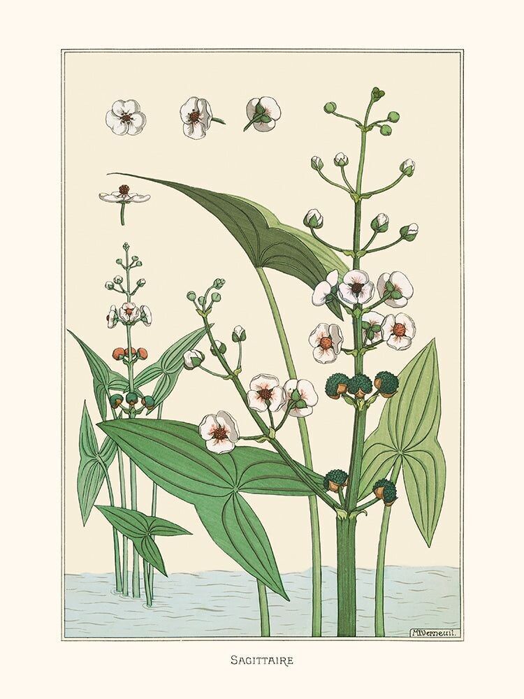 Poster HerrP Verneuil, Schütze