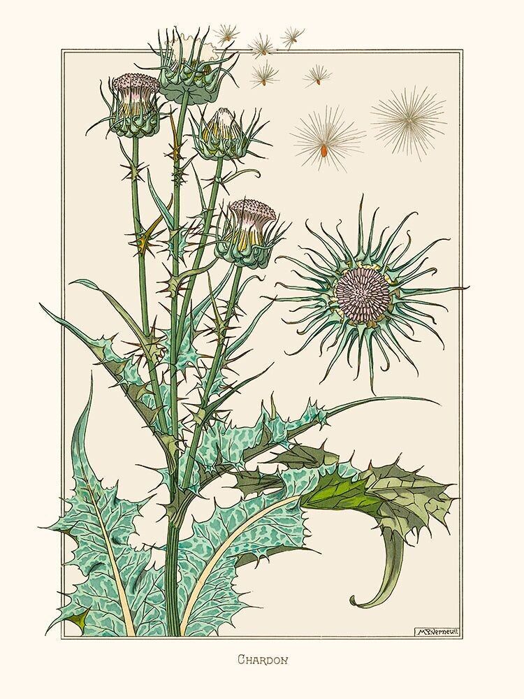 Poster HerrP Verneuil, Chardon