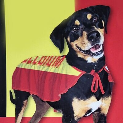 Pet products - dog costumes Belgium size S and M