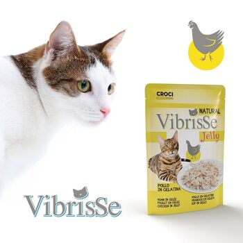 Sachets de nourriture humide en gelée pour chat - Vibrisse Jelly sachet 70g 5