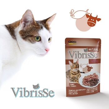 Sachets de nourriture humide en gelée pour chat - Vibrisse Jelly sachet 70g 22