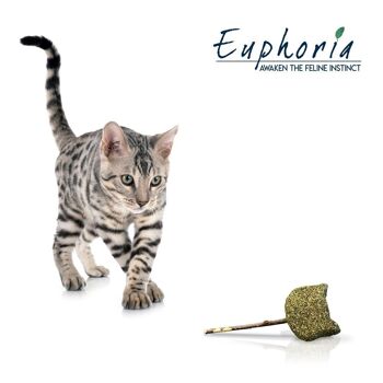 Baguette de vigne argentée et d'herbe à chat - Euphoria Stick Cat Face 3