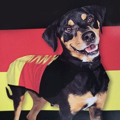 Produits pour animaux de compagnie - costumes pour chiens Allemagne taille S et M