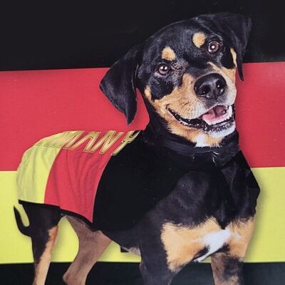 Pet products - dog costumes Germany size S and M