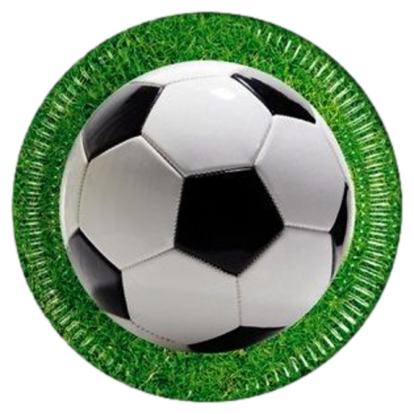 8 Balloon Plates 23 Cm