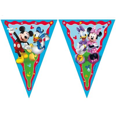 Mickey Rock The House Banner Flag