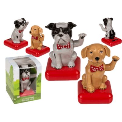 Chien Solaire 10,5Cm