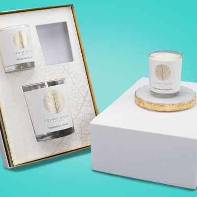 DISTANT INSPIRATION soy wax candles box