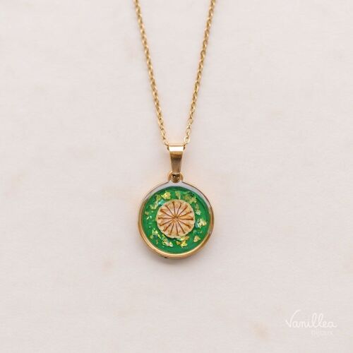 Collier en fleurs naturelles de Coquelicot fond uni vert en acier inoxydable