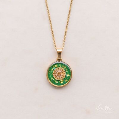 Collier en fleurs naturelles de Coquelicot fond uni vert en acier inoxydable