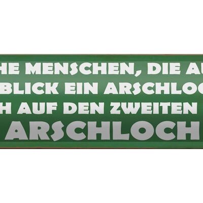 Blechschild Spruch 46x10cm manche Menschen Arschloch Dekoration