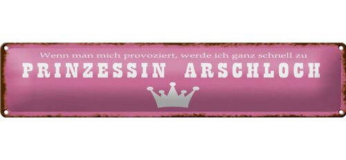 Blechschild Spruch 46x10cm ich zu Prinzessin Arschloch Dekoration