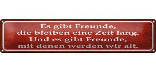 Blechschild Spruch 46x10cm es gibt Freunde mit denen alt Dekoration