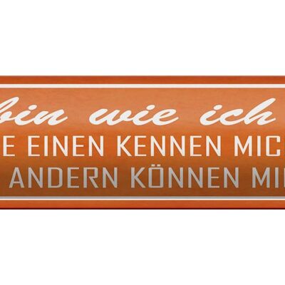 Blechschild Spruch 46x10cm ich bin wie ich bin die einen Dekoration