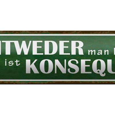 Blechschild Spruch 46x10cm entweder man lebt oder Dekoration