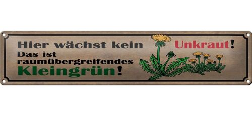 Blechschild Spruch 46x10cm Hier wächst kein Unkraut. Das ist Kleingrün