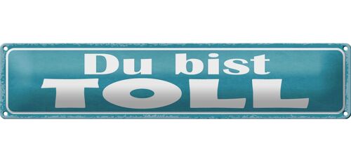 Blechschild Spruch 46x10cm Du bist toll Geschenk Dekoration