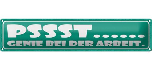 Blechschild Spruch 46x10cm PSSST Genie bei der Arbeit Dekoration