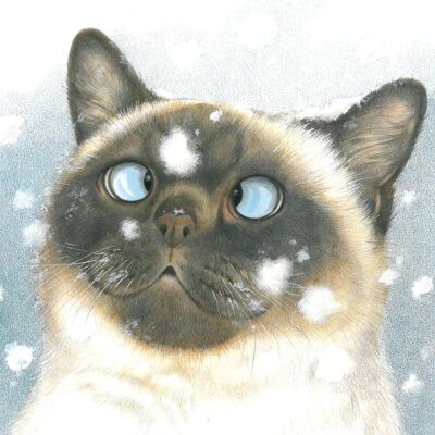 Vierkante kaart - Van sneeuwvlokjes ga ik altijd een beetje scheel kijken.... (katten)