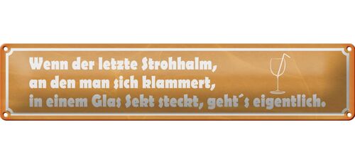 Blechschild Spruch 46x10cm wenn der letzte Strohhalm Sekt Dekoration