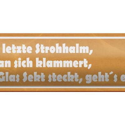 Blechschild Spruch 46x10cm wenn der letzte Strohhalm Sekt Dekoration