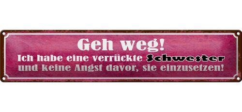 Blechschild Spruch 46x10cm ich habe eine verrückte Schwester Dekoration