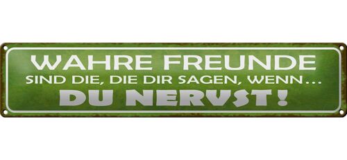 Blechschild Spruch 46x10cm wahre Freunde sagen du nervst Dekoration