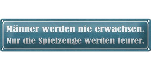 Blechschild Spruch 46x10cm Männer nie erwachsen Spielzeuge Dekoration