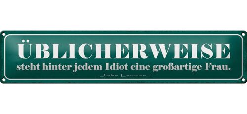 Blechschild Spruch 46x10cm hinter Idiot großartige Frau Dekoration