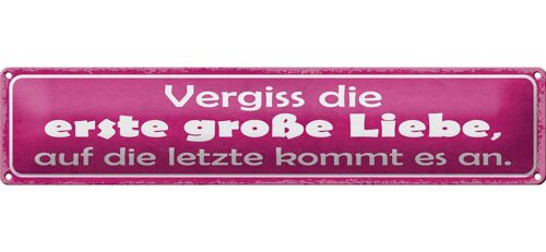 Blechschild Spruch 46x10cm vergiss die erste große Liebe Dekoration