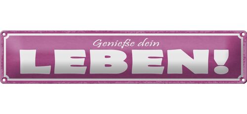 Blechschild Spruch 46x10cm genieße dein Leben Dekoration