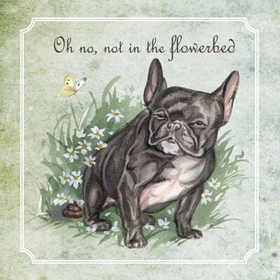 Vierkante kaart - Oh no, not in the flowerbed (bulldog)