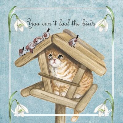 Vierkante kaart - You can't fool the birds (katten)