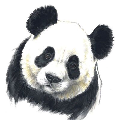 Vierkante kaart - Kijk, met deze Panda valt wel te praten
