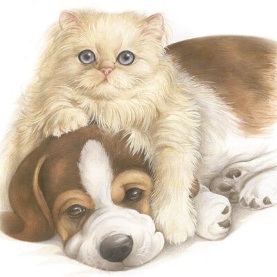 Vierkante kaart - Echte liefde, echte vriendschap.. (Beagle en Kat)