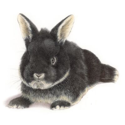 Vierkante kaart - Ook konijntjes zijn van harte welkom