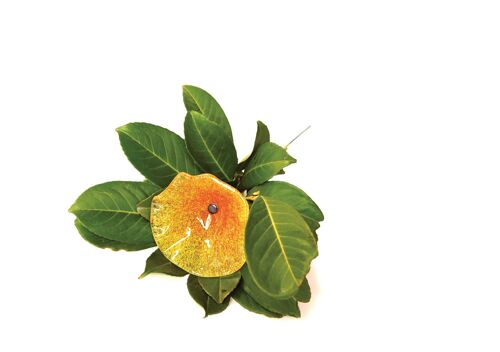 Glass Flower For Outdoor Use In Transparent, Yellow-Orange