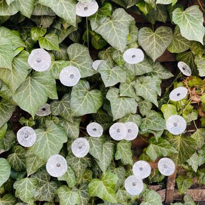 Small Glass Flower For Outdoor Use In Transparent, White