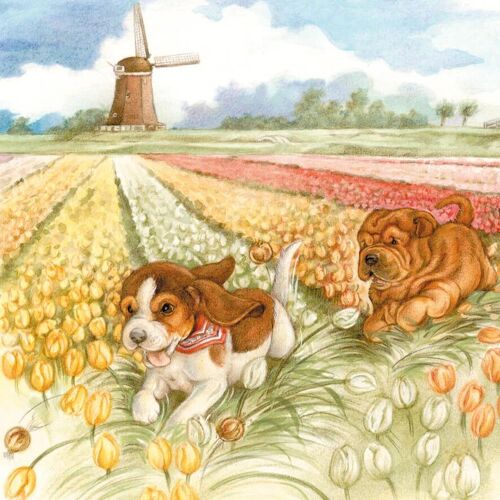 Vierkante kaart - Hollands Tafereeltje, even lekker rennen... (Beagle en Sharpei)