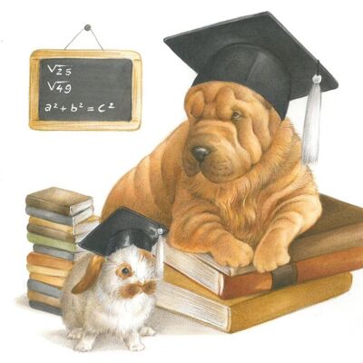 Vierkante kaart - Geslaagd, de studie zit er voorlopig even op....  (Sharpei)