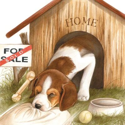 Vierkante kaart - Verhuizing. Hondenhok for Sale (Beagle)
