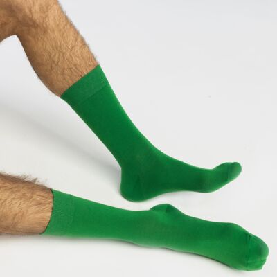 Collection Essentielle - Chaussettes de Couleur Unie - Vert - Emerald Fields