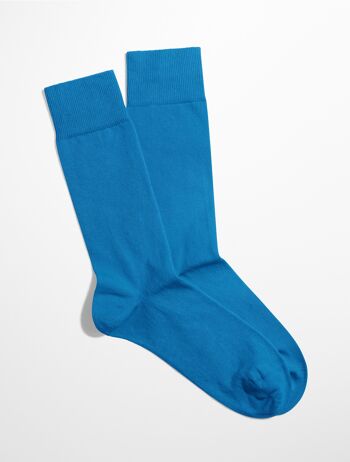 Collection Essentielle - Chaussettes de Couleur Unie - Bleu - Azure Dream 2