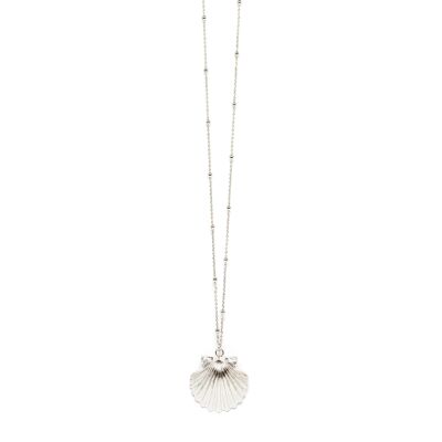 Nrée Silver Shell Long Necklace