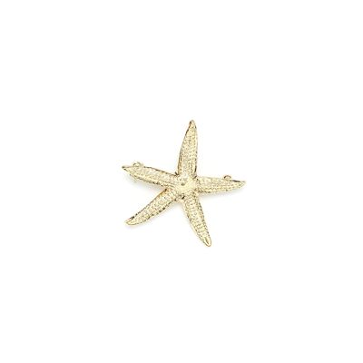 Cleia Gold Star Brooch